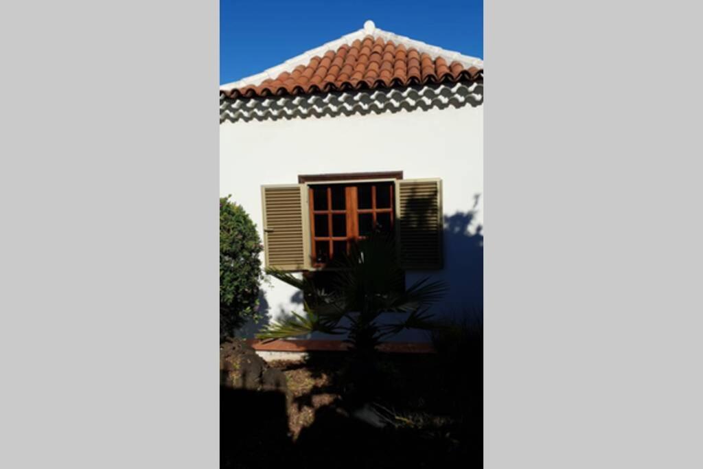 Villa La Paz Puerto de la Cruz  Exterior photo