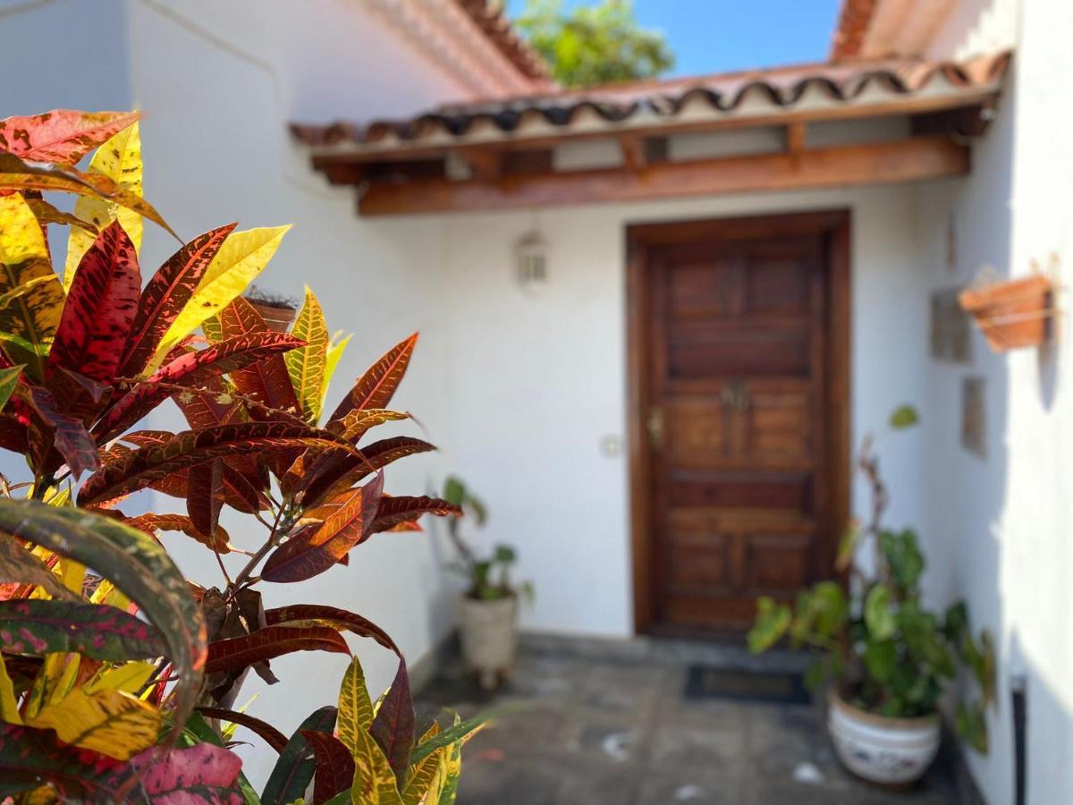 Villa La Paz Puerto de la Cruz  Exterior photo